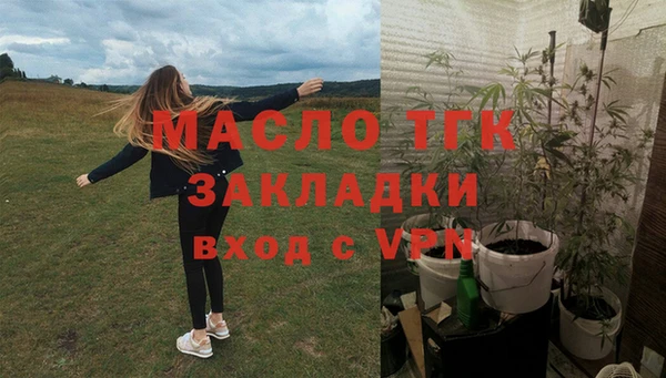 сатива Армянск