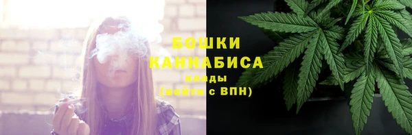 сатива Армянск